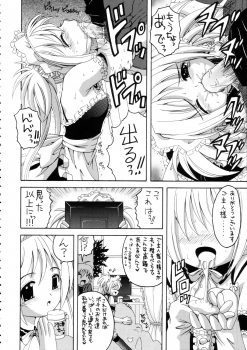 (C68) [Yukimi Honpo (Asano Yukino)] Kore ga Ore-sama no maid-tachi (Kore ga Watashi no Goshujin-sama | He Is My Master) - page 11