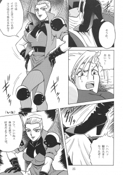 [Circle Taihei-Tengoku (Aratamaru)] Night Head 8 (Rival Schools, Guardian Heroes) - page 24