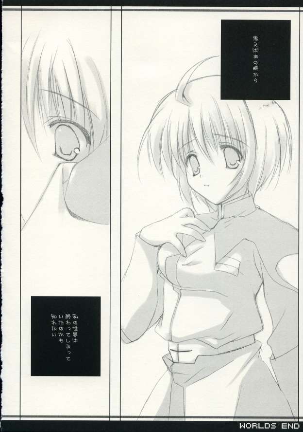 (C69) [A.L.C (Kannazuki Nem)] WORLDS END (Kidou Senshi Gundam Seed Destiny) page 5 full