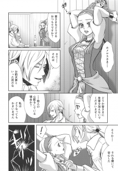 (TWINKLE MIRAGE 9) [Honnori Tei (Honnori)] Shouri Shita Gunshi ni Torawareta Seijo (Dragon Quest XI) - page 5