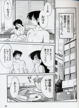 (C61) [Studio Sitomi (Tsuya Tsuya)] Hisae Haitoku Nikki Shiori no 2 - page 10