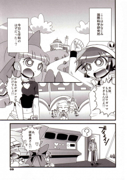 (Puniket 15) [Wicked Heart (Zood)] Ore Dake no Kaoru-san (Demashita Power Puff Girls Z) - page 2