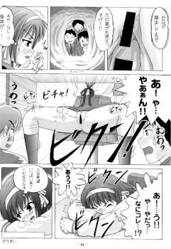 [Chimee House (Takapi)] Suzumiya Haruhi no Shuuchi (Suzumiya Haruhi no Yuuutsu) - page 15