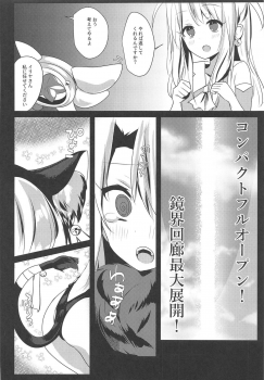 (C95) [Natsu no Cheese Koujou (Bonyuu Cheese no Natsu)] Illya Jotznwein (Fate/kaleid liner Prisma Illya) - page 4