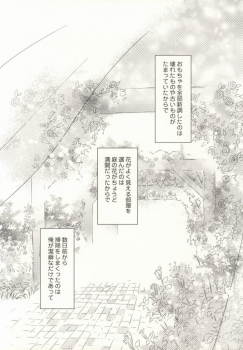 (C77) [TK-Brand (Nagi Mayuko)] Hanataba de Demukae wo (Axis Powers Hetalia) - page 3