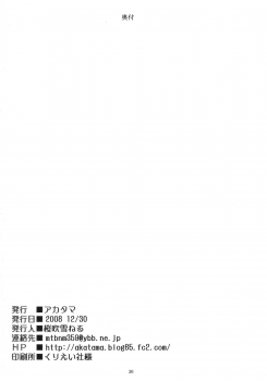 (C75) [Akatama (Sakurafubuki Nel)] Nekodora 1kan - page 29