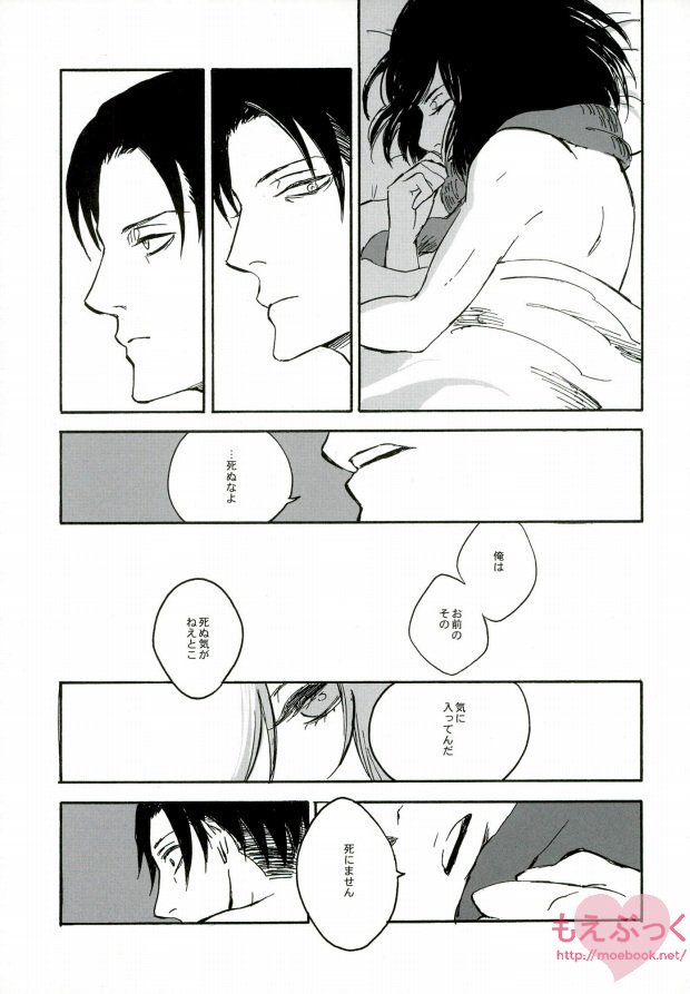 (SUPERKansai19) [QuintalLagosta (ebgr)] Kuro no Ookami Gin no Ookami (Shingeki no Kyojin) page 20 full