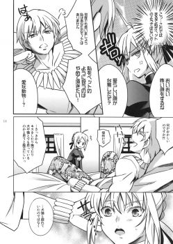 (C82) [Unizo (Unikura)] Nan to iu Kao wo shiteiru, Marude Sakari no tsuita Mesuinu no you dewa naika (Fate/Zero) - page 11