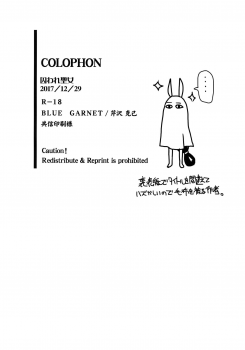 (C93) [Blue Garnet (Serizawa Katsumi)] Toraware Seijou (Fate/Grand Order) - page 29