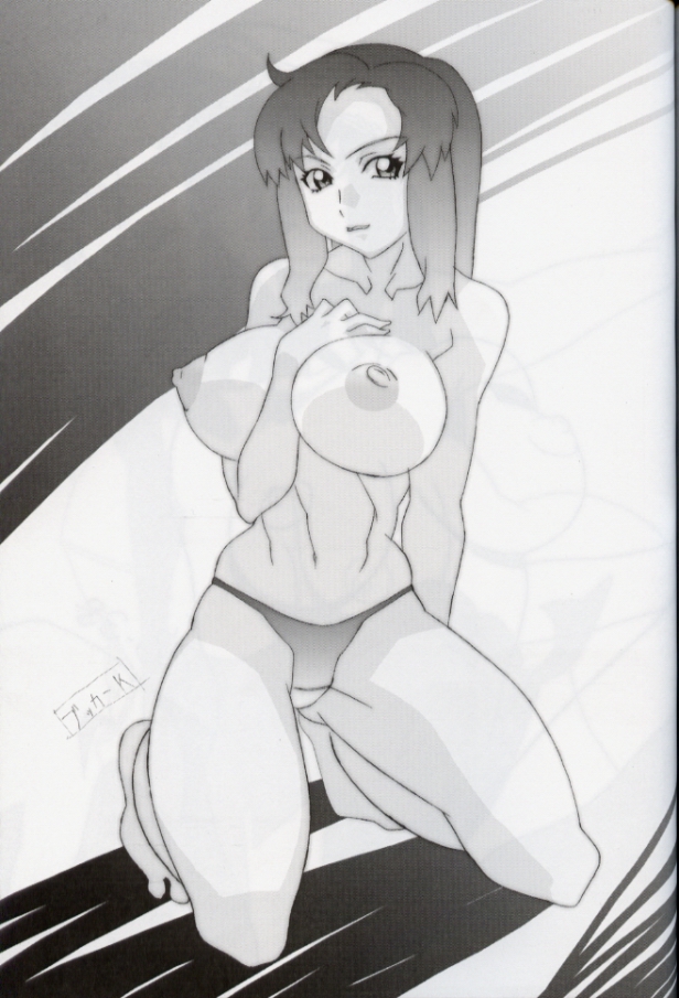 (C64) [studio C-TAKE (Miura Takehiro)] GUNYOU MIKAN vol.18 (Mobile Suit Gundam SEED) page 26 full