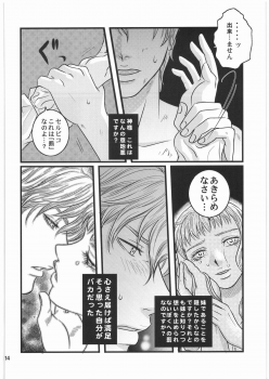 [Bisyoku Hyaka] Ibara no Kanmuri (BERSERK) - page 13