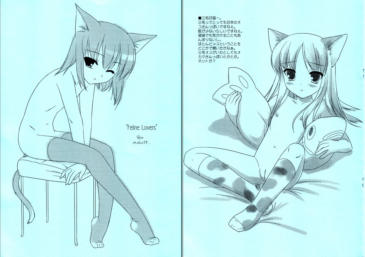 [FlavorGraphics* (Mizui Kaou)] [2003-03-16] - Feline Lovers page 1 full