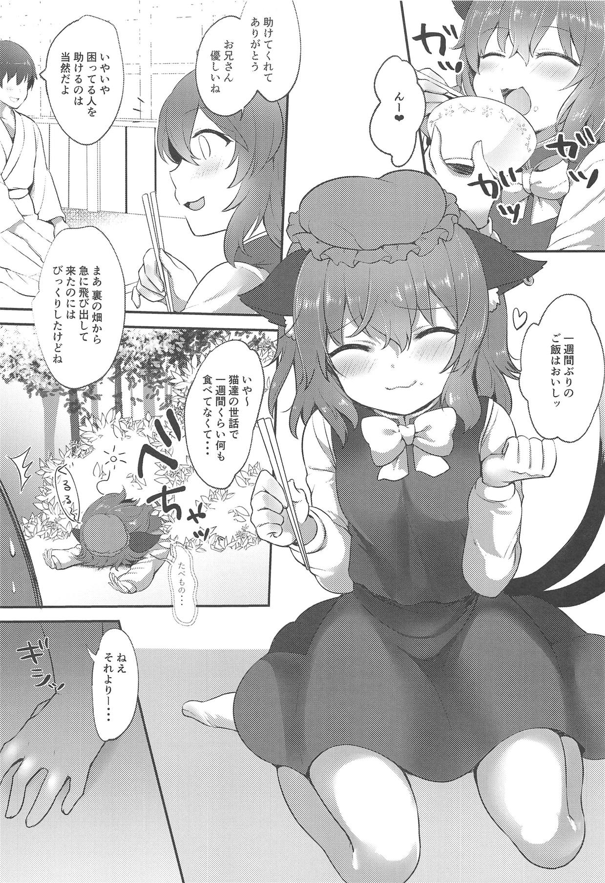(Meikasai 13) [Kingyo Origin (Kayama Rim)] Neko no Ongaeshi (Touhou Project) page 4 full
