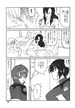[Kyapa CITY (Torai Ryuu)] Yureru Omoi (Gundam SEED DESTINY) [Digital] - page 40