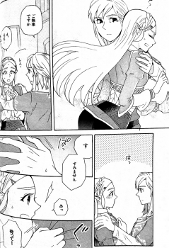 (ALL STAR 9) [CURSOR (Satou)] Ashita no Watashi-tachi (The Legend of Zelda) - page 19