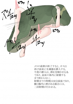 Oomushikaisetuzukan - page 12