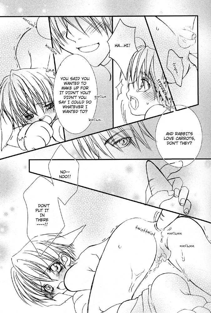 (Shotaket 9) [xxlazuli (Yoshino Azuma)] Ninjin Daisuki Usagi-tan | The Rabbit Who Loves Carrots [English] [DokiDoki] page 13 full