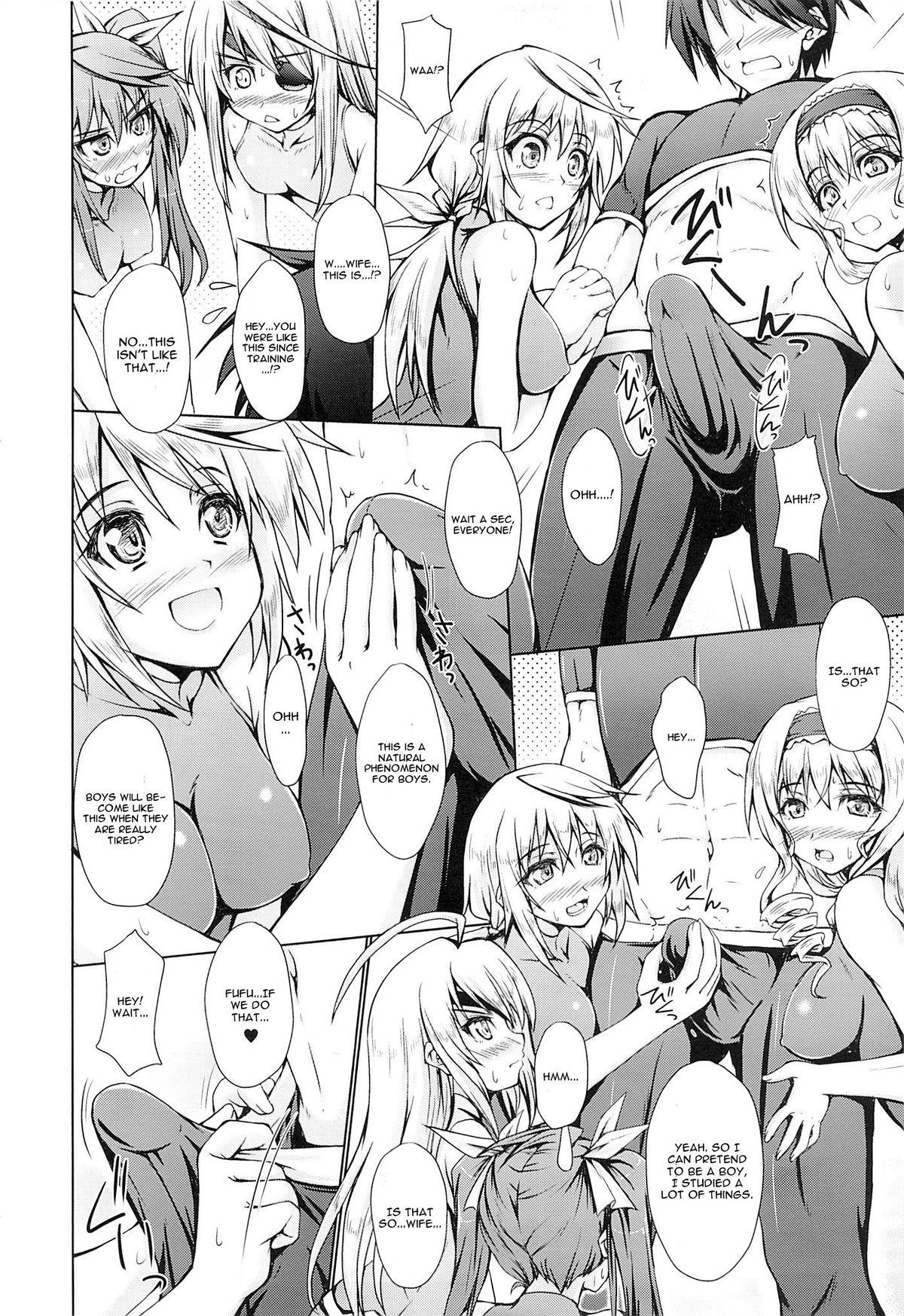 (C85) [SEITOKAISHITSU (Akimoto Dai)] Five Colors Quintet (Infinite Stratos) [English] [CGrascal] page 3 full