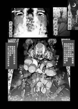 [Triple Head] Inmon Akuochi no Hime Kishidan[Chinese]【不可视汉化】 - page 24
