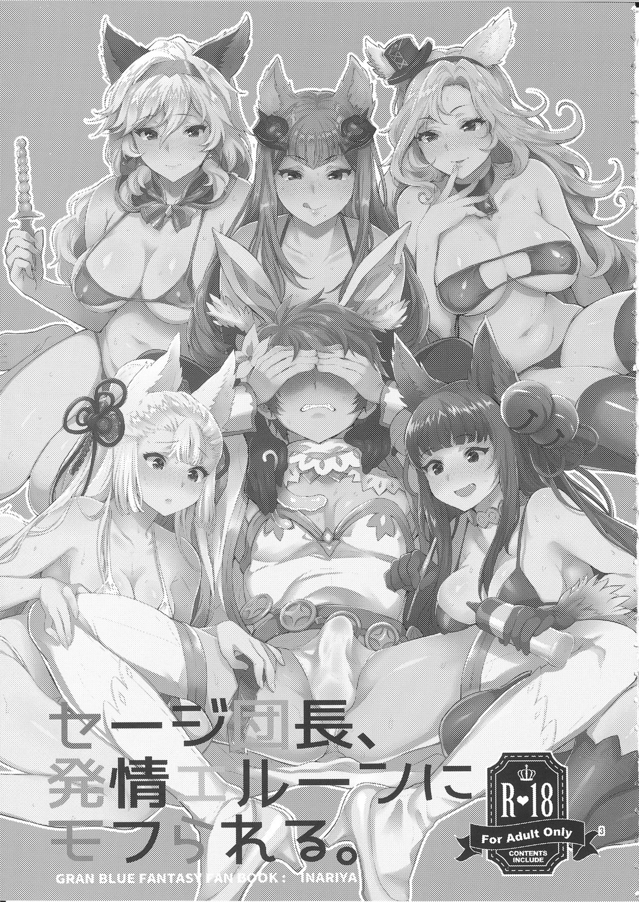 (SC2016 Summer) [Inariya (Inari)] Sage Danchou, Hatsujou Elune ni Mofurareru. (Granblue Fantasy) page 2 full