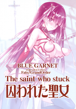 (C93) [Blue Garnet (Serizawa Katsumi)] Toraware Seijou (Fate/Grand Order) - page 30