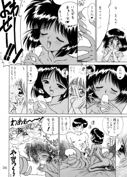 (C58) [BLACK DOG (Kuroinu Juu)] GOLD EXPERIENCE (Sailor Moon) [2nd Edition] - page 34