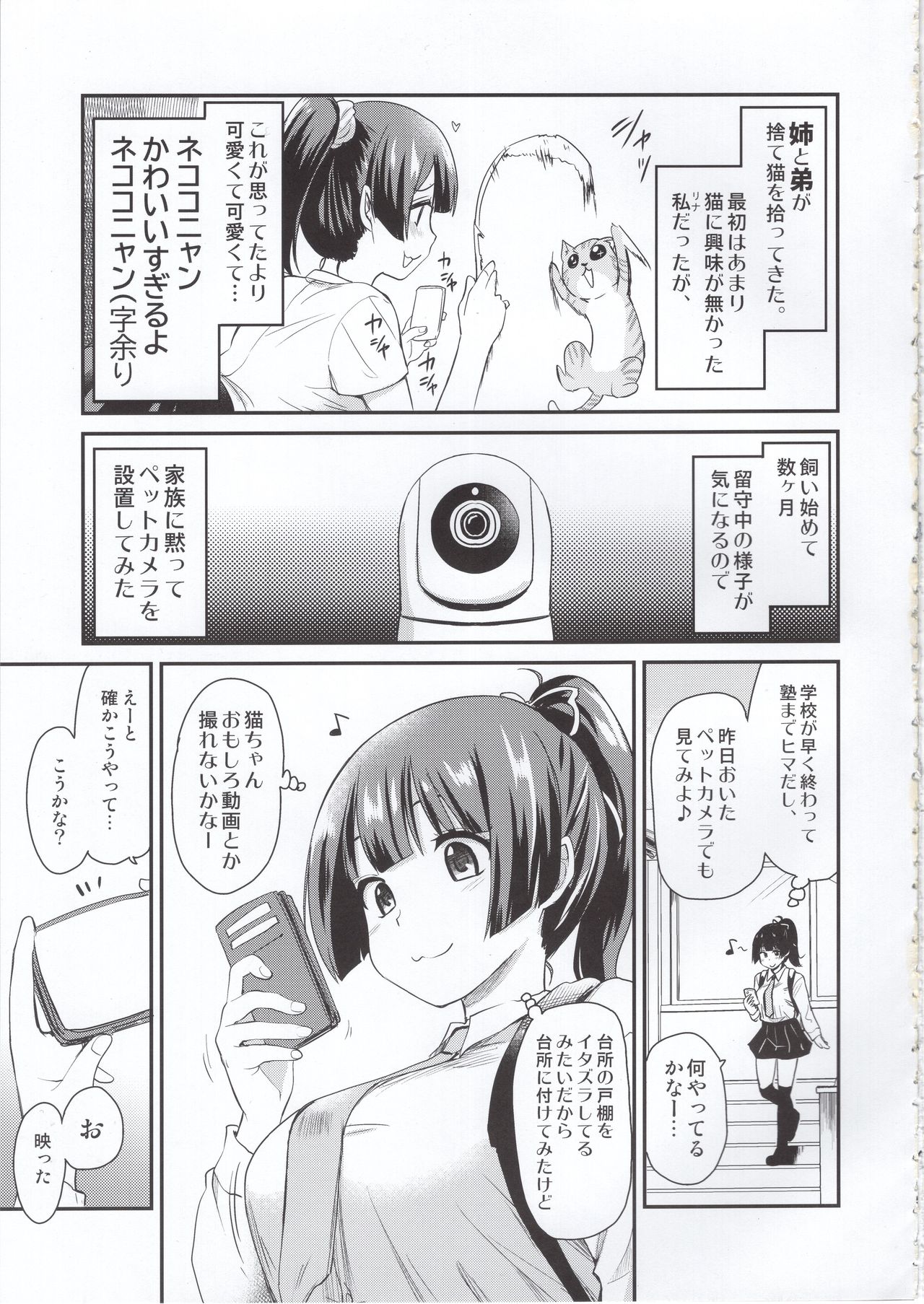 (COMITIA131) [Shin Hijiridou Honpo (Hijiri Tsukasa)] Pet Mimamori Camera ni Ane to Otouto no Sex ga Utsutteta. page 4 full