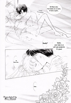 [PALE LILAC (Ohmori Madoka)] EARTH WIND (Sailor Moon) [English] {Miss Dream} - page 19