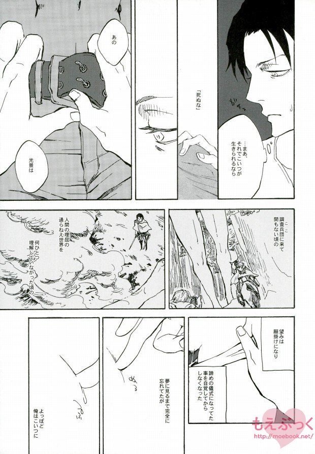 (SUPERKansai19) [QuintalLagosta (ebgr)] Kuro no Ookami Gin no Ookami (Shingeki no Kyojin) page 14 full