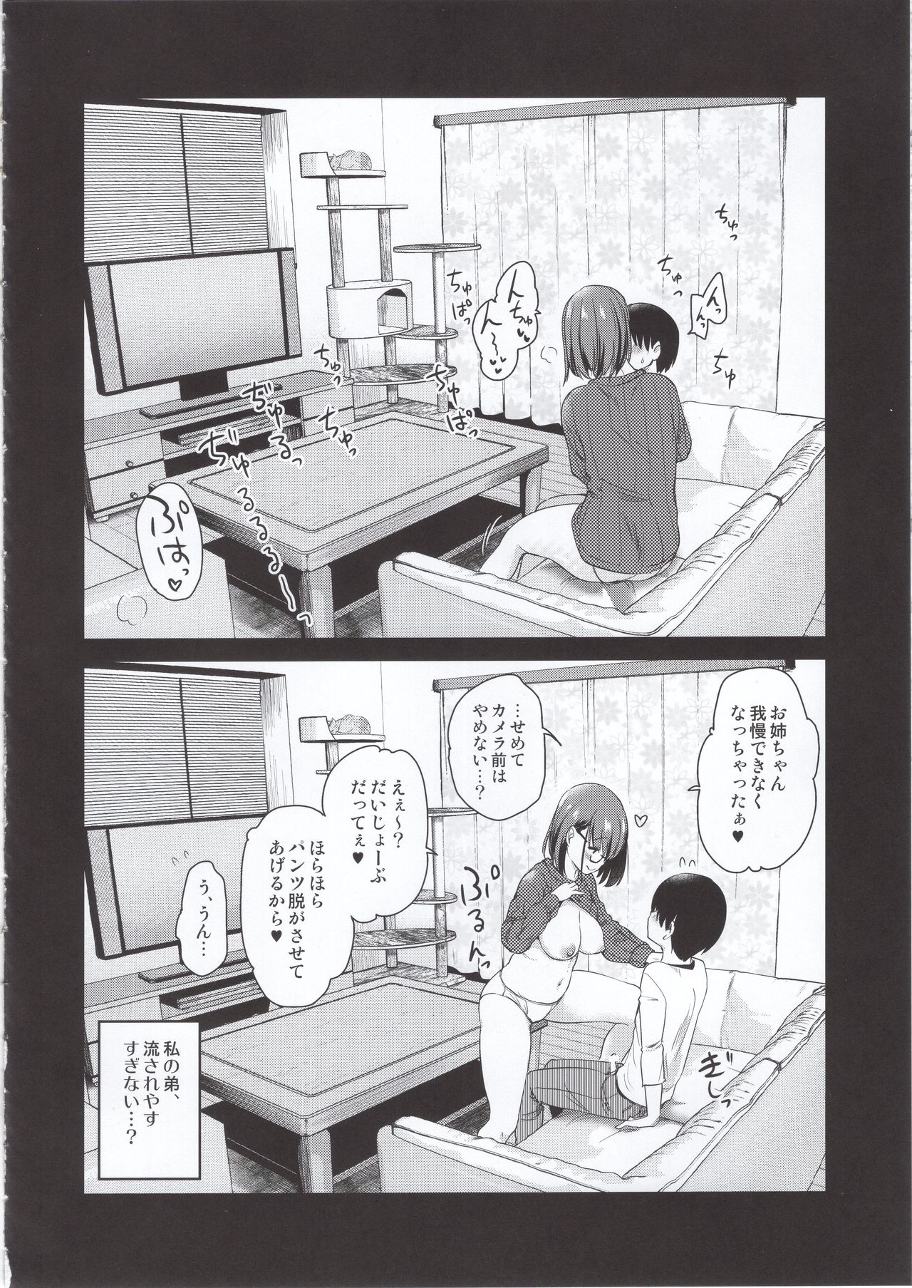 (COMITIA131) [Shin Hijiridou Honpo (Hijiri Tsukasa)] Pet Mimamori Camera ni Ane to Otouto no Sex ga Utsutteta. page 19 full