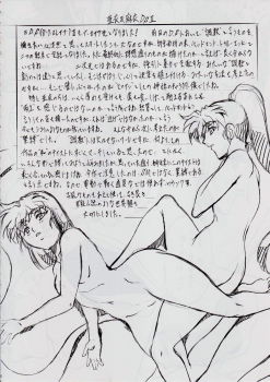 [Busou Megami (Kannaduki Kanna)] Ai & Mai DS II ~Setsugekka~ (Injuu Seisen Twin Angels) - page 4