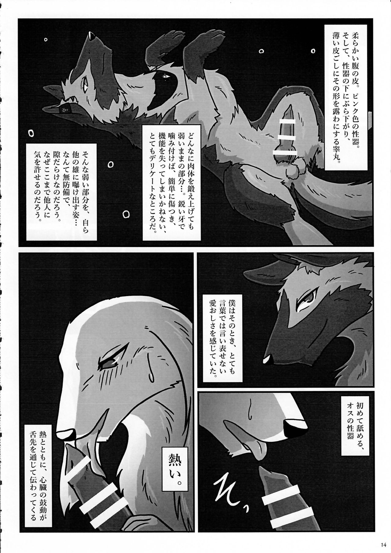 (Kansai! Kemoket 3) [KTQ48 (Various)] KTQ 7 page 14 full