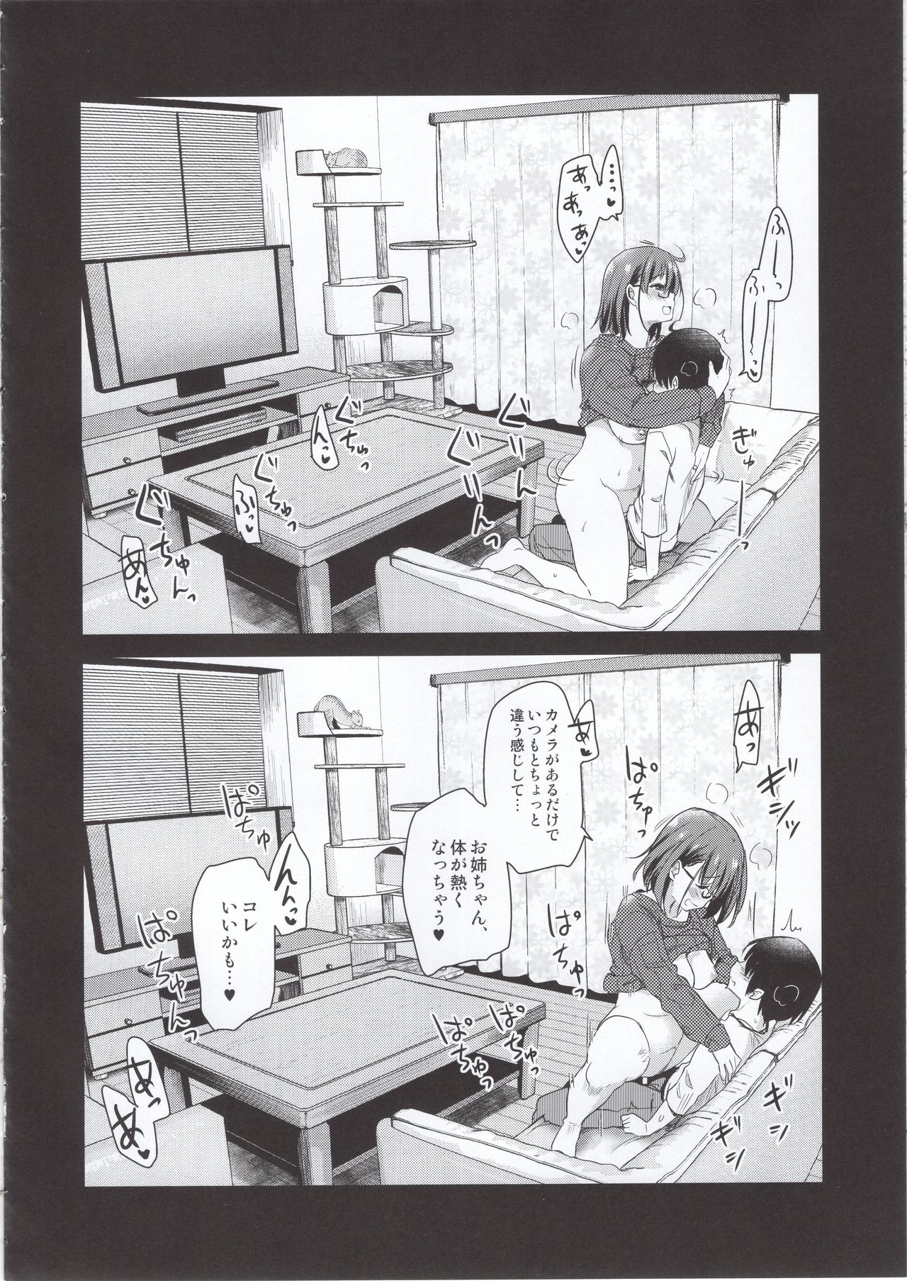 (COMITIA131) [Shin Hijiridou Honpo (Hijiri Tsukasa)] Pet Mimamori Camera ni Ane to Otouto no Sex ga Utsutteta. page 21 full