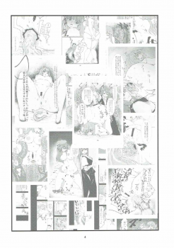 (C92) [H-net (HiRo)] Patchouli to Shokushu to Shiri Ana to 3 (Touhou Project) - page 3
