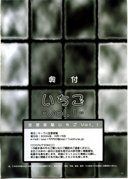 (C66) [Circle Kuusou Zikken (Munehito)] Kuusou Zikken Ichigo Vol.1 (Ichigo 100%) - page 28