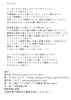 (C91) [Ver.Mimizuk (COmizuk)] Murasa Minamitsu no Tonogata Jijou (Touhou Project) - page 25