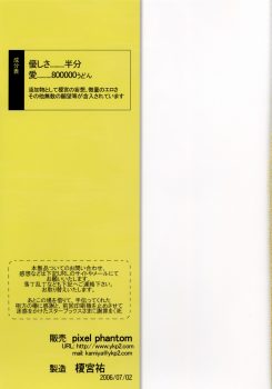 [Pixel Phantom (Kamiya Yuu)] Udonge no Kusuri B Zazai (Touhou Project) - page 27