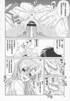 (C69) [Gold Rush (Suzuki Address)] Thank You! Lacus End (Gundam SEED DESTINY) [Chinese] [graviton个人汉化] - page 19