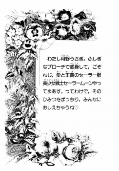 (C43) [The Garden (Itou Masaya)] Sailor Moon Jinsei (Bishoujo Senshi Sailor Moon) - page 3