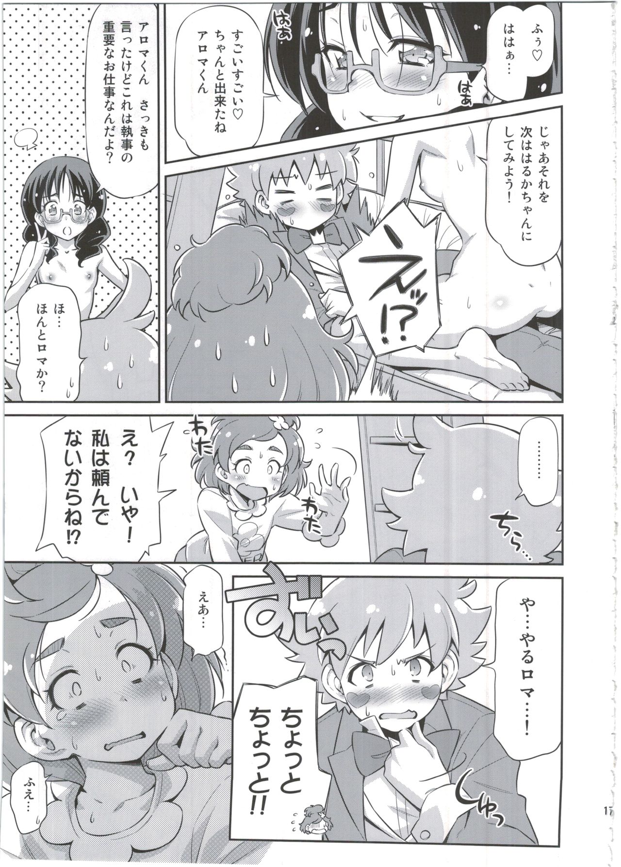 (C88) [ACID EATERS (Kazuma Muramasa)] Shitsuji no Oshigoto (Go! Princess PreCure) page 17 full