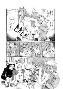 [Okinawa Taieki Gunjinkai] Zenmon no Ookami x Koumon ni Kousinryou (Spice and Wolf) - page 13