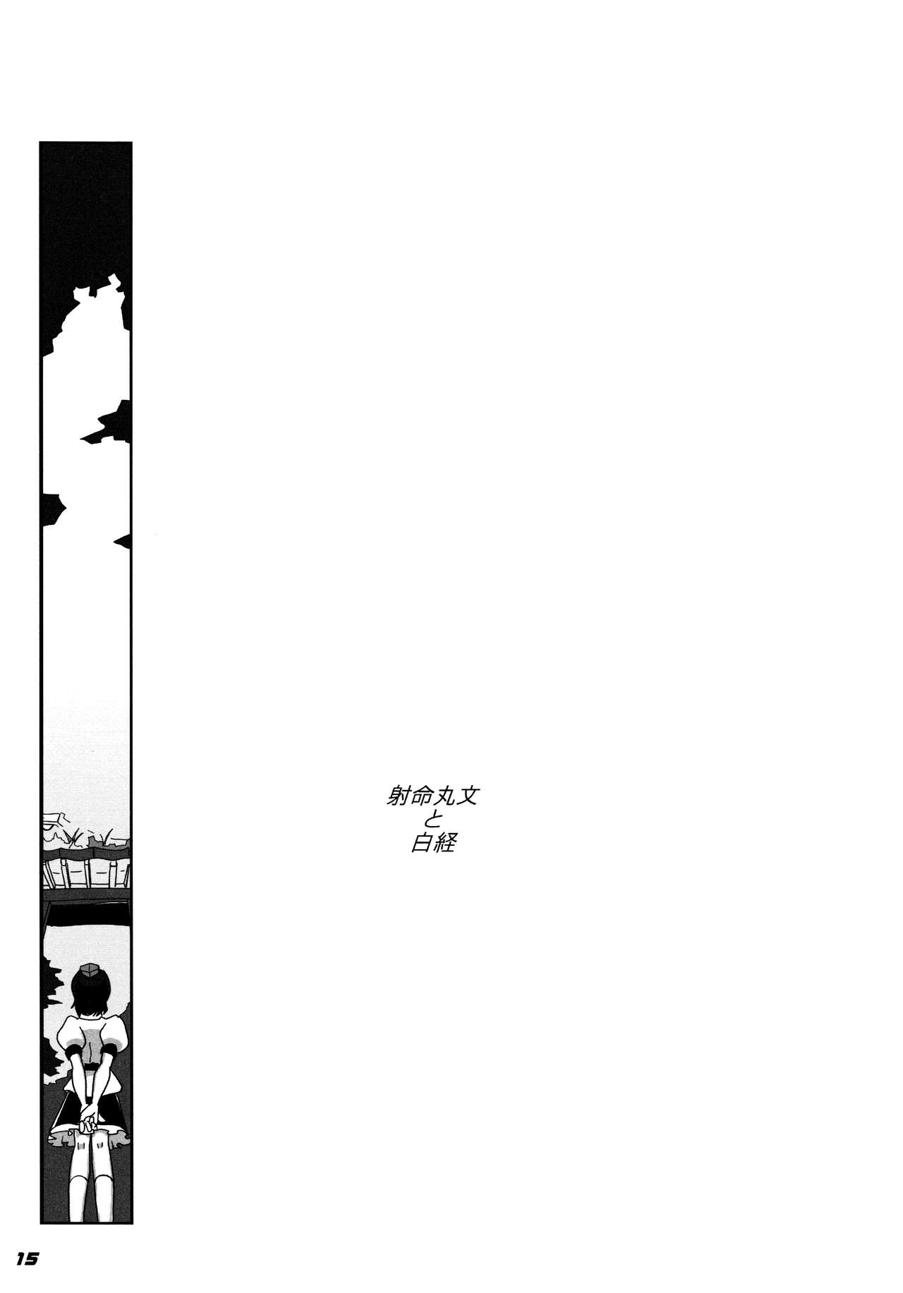 (C87) [Kieyza cmp (Kieyza)] TOHO N+ 109/14 (Touhou Project) page 17 full
