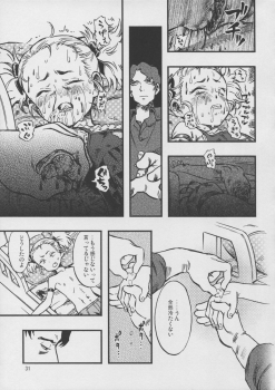 (C88) [Minori Kenkyuujo (Minori Kenshirou)] Higyaku Hime - page 30