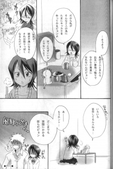 (C69) [Kurione-sha (YU-RI)] Pochi Honey | Petit Honey (Bleach) - page 18