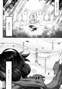 [Heiqing Langjun] Eisei no Gyou Kouhen (Towako8) [Chinese] [沒有漢化] - page 31