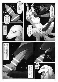 (Kansai! Kemoket 3) [KTQ48 (Various)] KTQ 7 - page 11