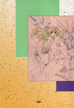 (C69) [Henrei-kai (Kawarajima Koh)] M.O.E -Morgen of Extended- (Kidou Senshi Gundam SEED DESTINY) - page 39