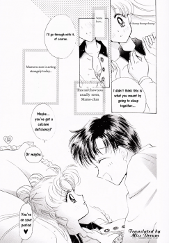 [PALE LILAC (Ohmori Madoka)] EARTH WIND (Sailor Moon) [English] {Miss Dream} - page 18