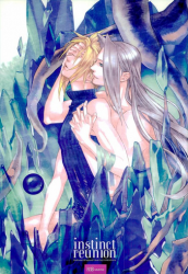 (C79) [nightflight (Yui)] instinct reunion (Final Fantasy VII)