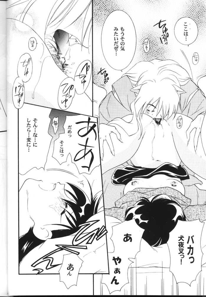 (C59) [Yamaguchirou (Yamaguchi Shinji)] Hama 2 (Sengoku Otogizoushi Inuyasha) page 15 full